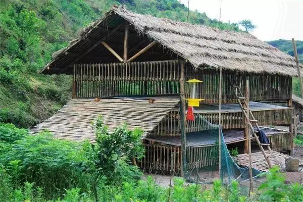 金寨养鸡场