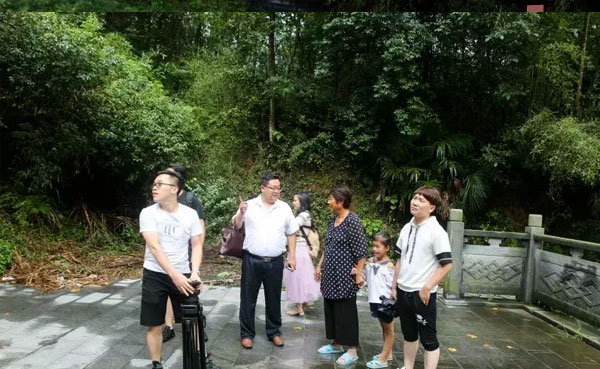 金寨黑毛猪