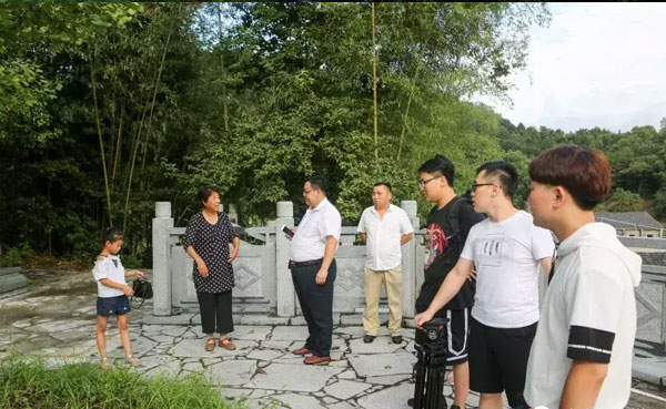 金寨黑毛猪