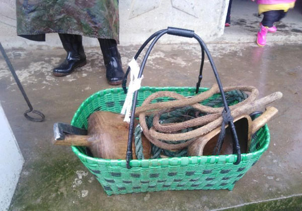 金寨黑毛猪