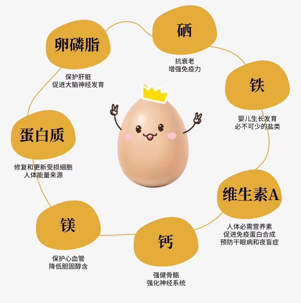 金寨土鸡蛋